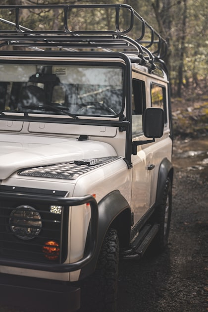 Why Choose a Bilingual Dealership?